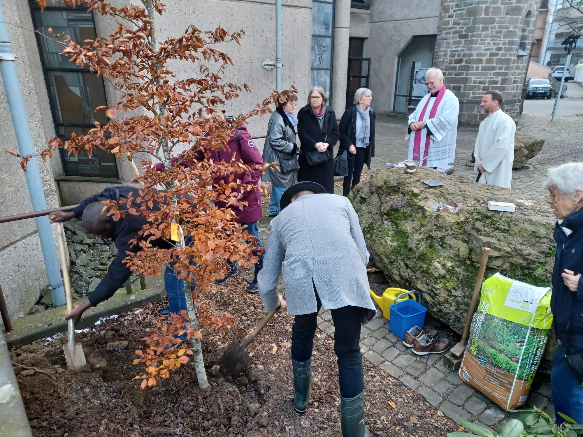 060e68c4-e781-4156-ab9b-a4b6be7bcf3d