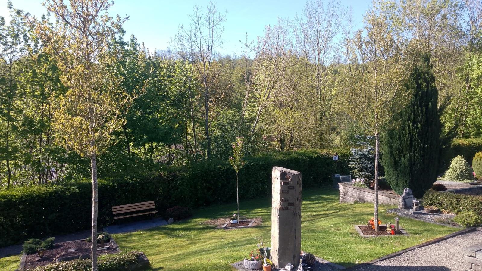 IMG-20260905-WA0000